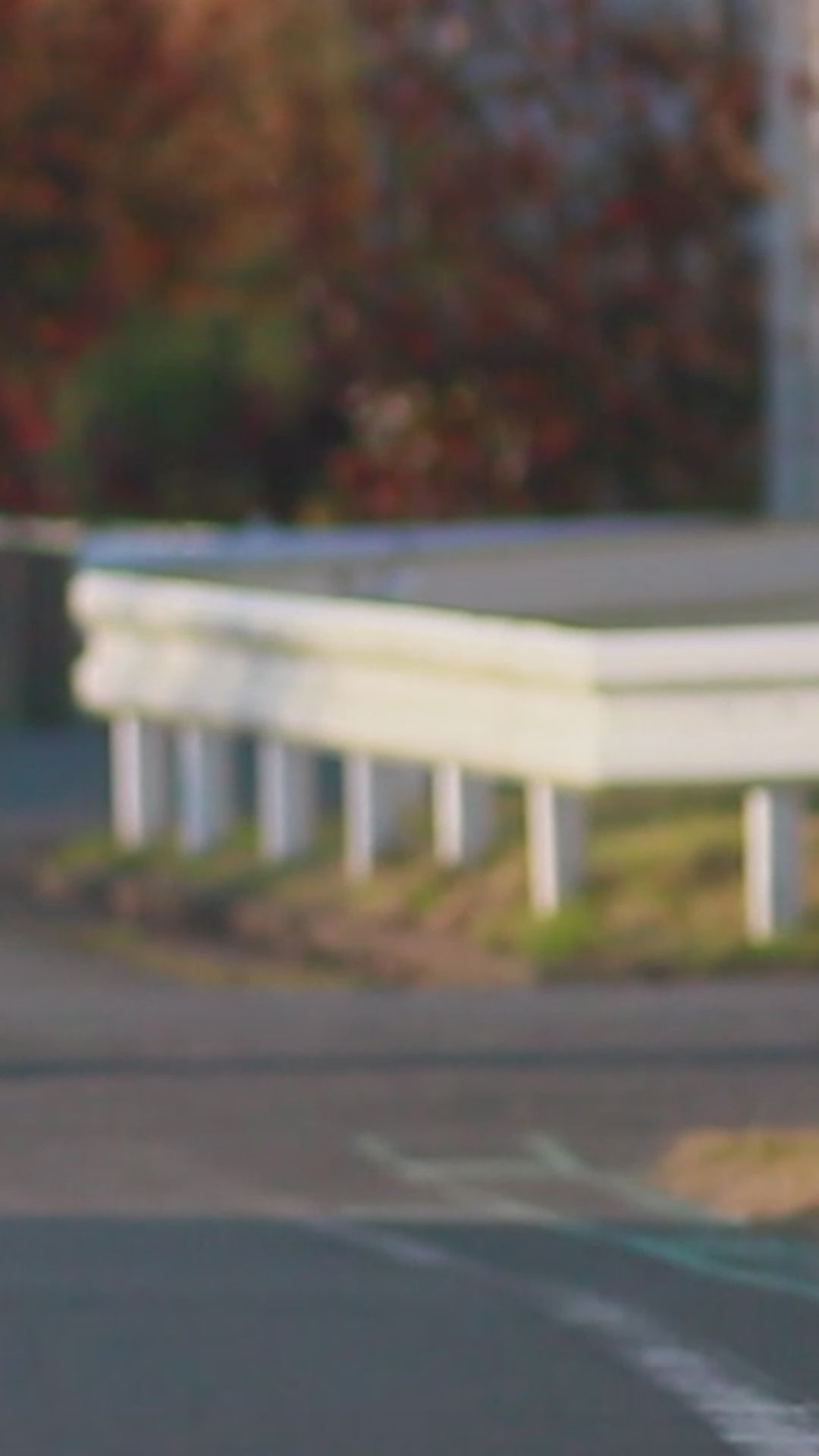 動画を読み込む: 